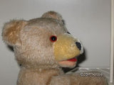 Antique Fechter Old Baby Bear Austria Mohair 30 cm 12 inch 1940s Rare