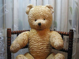 Old Antique 1940s Blonde Arthur Van Gelden Bear Jumbo Size 70 CM 27.5 Inch