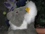 Original Steiff Baby Koala Sitting Bear Plush 060113 NEW 2001 All Tags Button