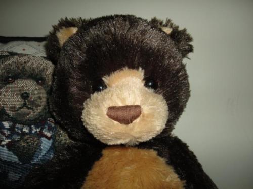Gund HEART THROB Bear 18 inch 2005 | Jadees Antique Bear Shoppe