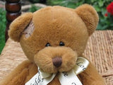Tender Toys Holland I Love You Teddy Bear