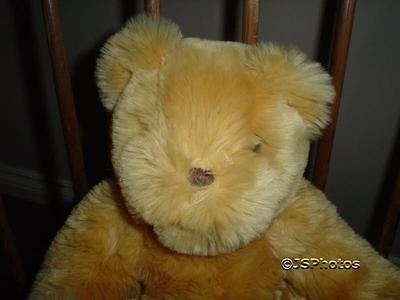 Simply soft sale collection teddy bear