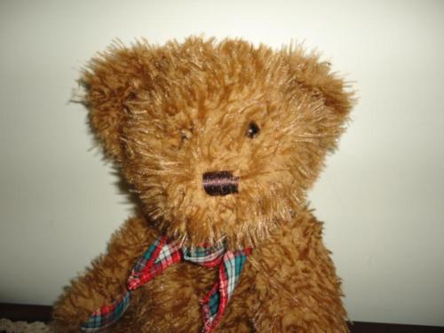 Shaggy shop teddy bear