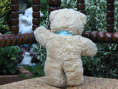 Steiff Molly Teddy Bear 0322/22 Creme
