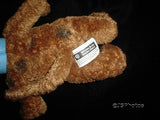 Scooby Doo Dog 10 inch Warner Bros Store 2000