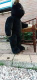 Antique 1930s JUMBO 30" Dutch Van Gelden Bear 76cm Black & White Silk Plush