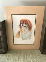 Pekingese Dog Art Print New Sealed with Template 10x8 inch