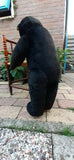 Antique 1930s JUMBO 30" Dutch Van Gelden Bear 76cm Black & White Silk Plush