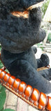 Antique 1930s JUMBO 30" Dutch Van Gelden Bear 76cm Black & White Silk Plush