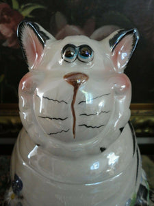 Striped Grinning CAT Cookie Jar Glossy Pearl Porcelain Floral Hand Painted 10"