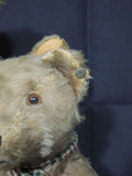 Antique 1940s Steiff 2 Original Bears Jointed Gray Mohair Raised Script Button