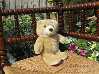 Dragon Toys Leamington Spa UK Plush Teddy Bear