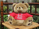 British Heart Foundation Bear By Kids Play London UK