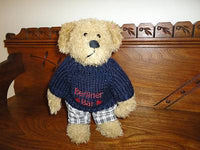 Germany Berliner Baer Bear With Sweater Interprasent