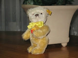 Steiff Dolly Teddy Bear 030673  Button - Tag - Shield