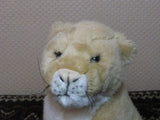 Geharo Drempt Holland Mountain Lion Puma Plush Sitting Gorgeous