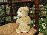 Dragon Toys Leamington Spa UK Plush Teddy Bear