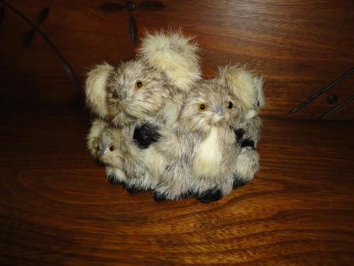 Vintage Real Fur Koala Family of 4 Glass Eyes 3.5 inch Leather bottom