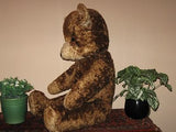 Old Antique 1930s Dutch Arthur Van Gelden Bear Chocolate 71 cm 28 Inch