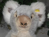 Steiff 16 Inch Molly Koala Bear 0331/40 1973 -  1977 Rare