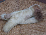 Steiff Floppy Cockie Mohair Spaniel Dog 5567/17 No ID  1974