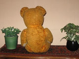 Old Antique 1930s Dutch Arthur Van Gelden Bear Copper Brown 54 cm 21 Inch