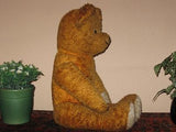 Old Antique 1930s Dutch Arthur Van Gelden Bear Copper Brown 54 cm 21 Inch