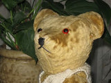 Antique Old 1920s Thuringia German Bear 18 Inch Glass Eyes