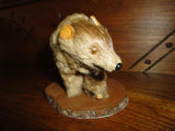 Antique Real Fur Wooden BEAR Glass Eyes Hand Made Canadian Souvenir NMCO MTL