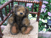 Ashton Drake Woodland Cub Bear 6 Way Jointed Limited Edition