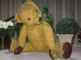 Antique Old 1920s Germany Large 27.5 inch Humpback Bear 70cm