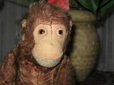 Antique Steiff Mohair Jocko Monkey Chimpanzee FF Button 1934-1936 Germany