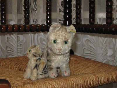 Steiff Antique FF Button Standing Tabby KF 1317 0 1936 43 w. Rare Germ Jadees Antique Bear Shoppe