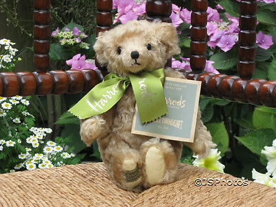 Peluche Articulée Ours NOUNOURS Beige Vintage Tire La Langue Rouge 37 Cm Peluche Articulée Ours NOUNOURS Beige Vintage Tire La Langue Rouge 37 Cm