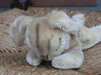 Steiff Floppy Hansi Rabbit Mohair NO ID 5527/17 1977