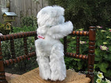 Metro Thirsk UK England 2000 Millennium Bear Sylvia