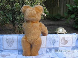 Antique Fechter Austria 1950s Blonde Mohair Bear Growler 12 Inch