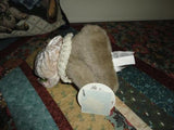 Russ Berrie SACHET Baby BEAR Bonnet & Lace Shawl Moments Memories Collection