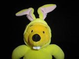 Winnie The Pooh Teddy Bear Removable Rabbit Outfit 9"