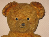 Old Antique 1930s Dutch Arthur Van Gelden Bear Copper Brown 54 cm 21 Inch