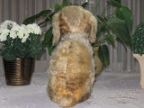 Antique DIEM German Mohair Dog Couple 1910-1915 OLD RARE