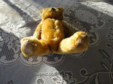 Antique JK Farnell 1960s Golden Mohair Bear Squeaker