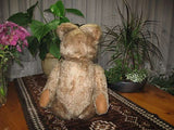 Antique Fechter Austria Bear Rare Blonde Mohair 19 Inch 1950s