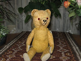 Antique Hermann Germany Bear 900/30 1927 Pre War Rare Yellow Teddy