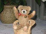 Antique Hermann Germany 1950's Mohair Bear 6.5 inch