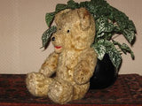 Antique 1930s Dutch Van Gelden Jointed Teddy Bear Plush RARE Open Mouth 11 Inch