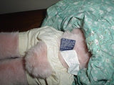 Boyds Collection 85-98 Primrose P. Trufflesnout Large Plush PIG