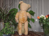 Antique Pre WW1 German Bing Bear 23 Inch Tilt Growler