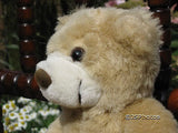 Dragon Toys Leamington Spa UK Plush Teddy Bear
