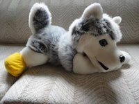 HUSKY DOG Stuffed Animal House Canada LARGE 21 inch